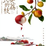 Chinese Fiction Kindle eBook - Simplified Press Classic 166-Page-0