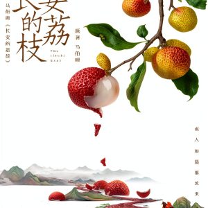 Chinese Fiction Kindle eBook - Simplified Press Classic 166-Page-0